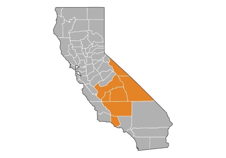 California_ovcdc_yellow